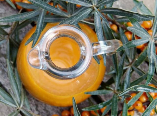 Sea Buckthorn
