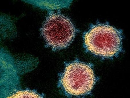 First cases of worrying Manaus variant of Covid-19 found in UK