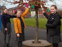 Megan, Eva and Ella hang their dreamcatchers at St George's Primary School in Tyldesley