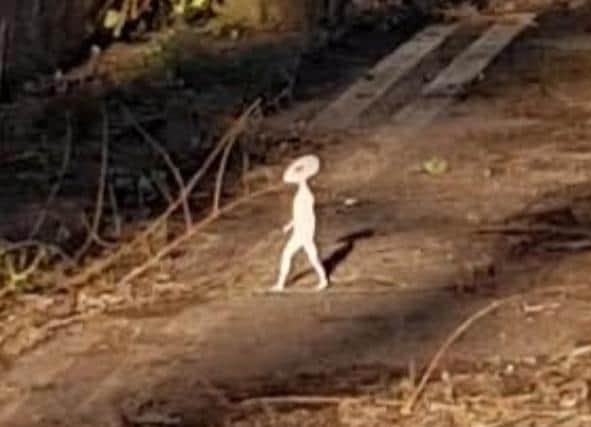 The 'tiny' humanoid captured on camera by Mellisa