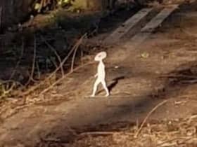 The 'tiny' humanoid captured on camera by Mellisa