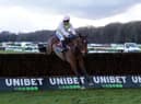 Royale Pagaille ridden by Tom Scudamore on their way to winning the Peter Marsh Handicap Chase at Haydock Park