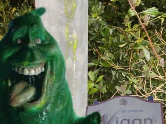 Fears that an alien invasion was responsible for green slime across the community have been quashed. (Picture: Coun Anthony Sykes)