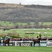 The Cheltenham Festival, the pinnacle of National Hunt racing, takes place from March 16 to 19.