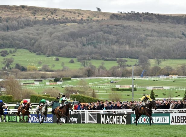 The Cheltenham Festival, the pinnacle of National Hunt racing, takes place from March 16 to 19.