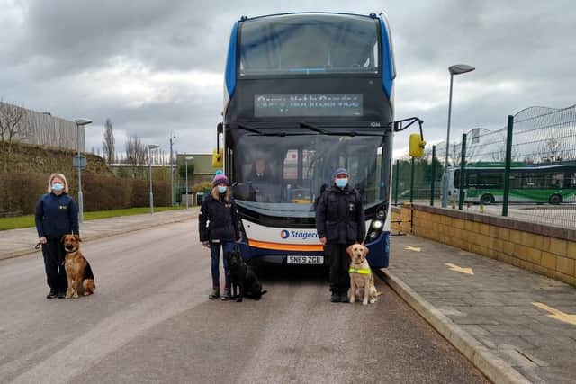 Guide Dogs trainers Joy Murray, Sara Keating and Paula Farnell help the dogs get used to travelling on buses, with bus driver Karlyn Macgillivray