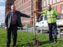 Coun Anderson and staff replanting trees at Dootson's Park