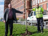 Coun Anderson and staff replanting trees at Dootson's Park