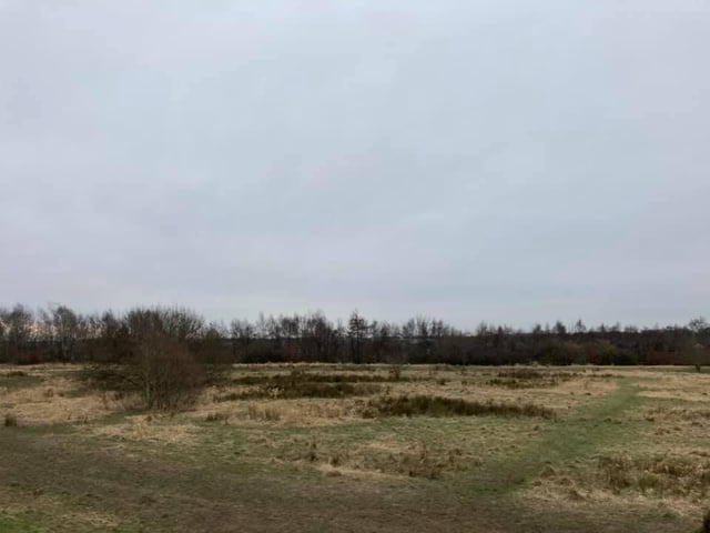 The site where the woodmeadow will be. Photo by The Notre Society