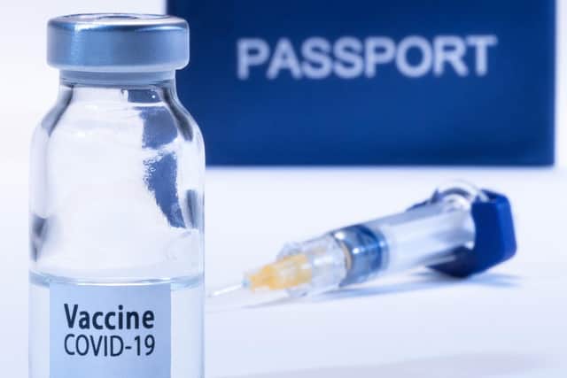 Ministers warned against introducing domestic vaccine passports