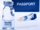 Ministers warned against introducing domestic vaccine passports