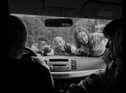 After the drive-in horror movie, guests will drive around the eerie abandoned theme park - now overrun by zombies - for a "fully immersive, interactive zombie experience". Pic credit: Park N Party/Camelot Rises