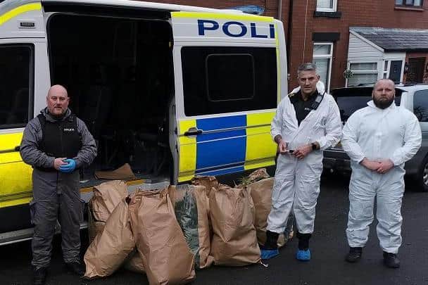 Police officers seized the plants
