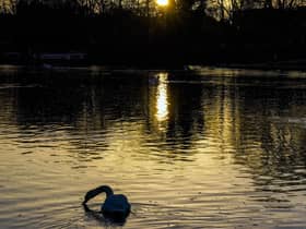 England's rivers are filled with a "chemical cocktail" of sewage, agricultural waste and plastic putting public health and nature at risk, a cross-party parliamentary group has said.