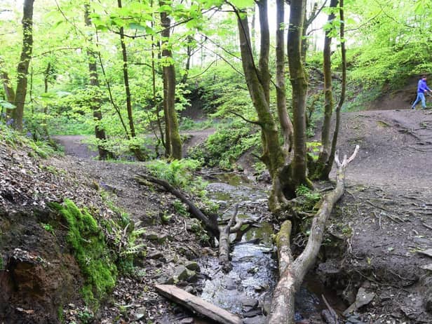 The Fairy Glen has seen interest in the tucked-away site boom during lockdown