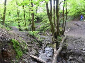 The Fairy Glen has seen interest in the tucked-away site boom during lockdown