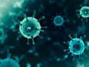 Coronavirus cases have dropped off massively