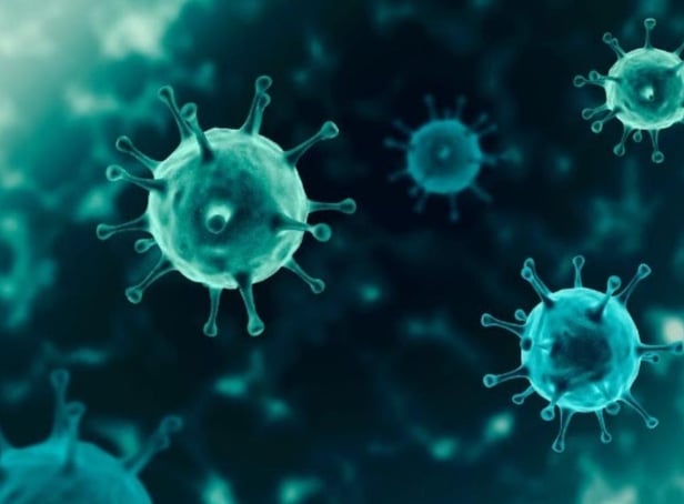 Coronavirus cases have dropped off massively