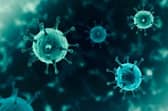 Coronavirus cases have dropped off massively