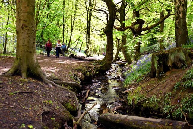 The picture perfect Fairy Glen has become increasingly popular during the pandemic...