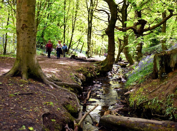 The picture perfect Fairy Glen has become increasingly popular during the pandemic...