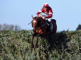 Tiger Roll
