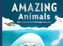 Amazing Animals