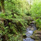 Fairy Glen