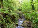Fairy Glen