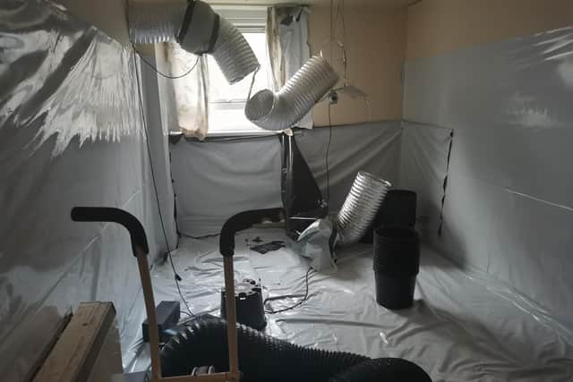 The fledgling cannabis farm after the Sunday morning raid