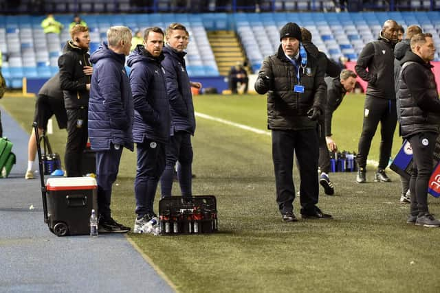 Staff try to  help the cat that got on the pitch at Sheffield Wednesday