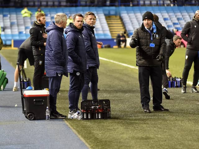 Staff try to  help the cat that got on the pitch at Sheffield Wednesday