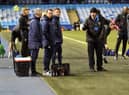 Staff try to  help the cat that got on the pitch at Sheffield Wednesday