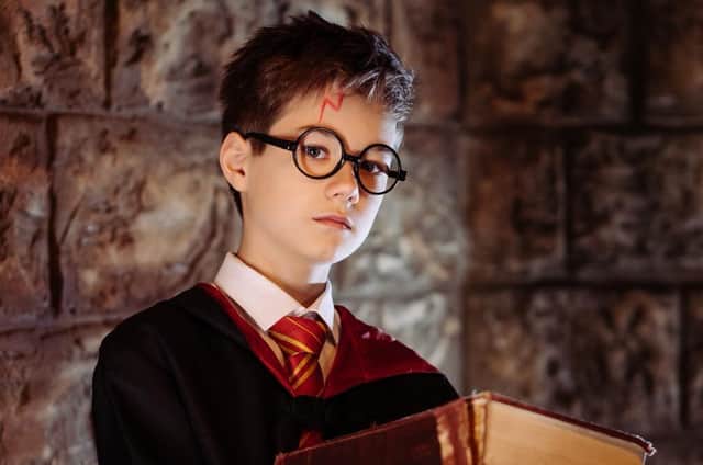 The one and only ... Harry Potter