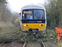 Workers clearing branches of a tree from the tracks after Storm Eunice