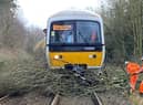 Workers clearing branches of a tree from the tracks after Storm Eunice