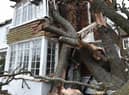 Storm Eunice left a trail of devastation in its wake