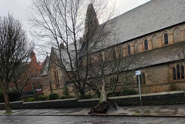 The uprooted tree outside Swinley St Michael's Church