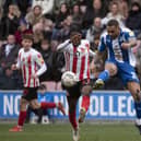 Josh Magennis gets a shot away against Sunderland
