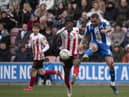 Josh Magennis gets a shot away against Sunderland