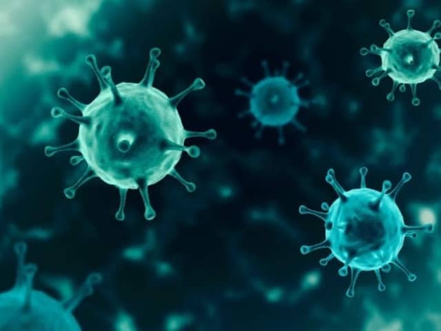 Coronavirus