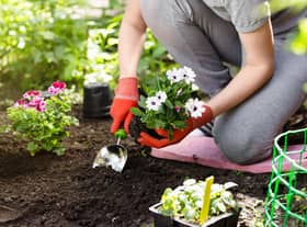 Green-fingered Brits are being offered tips on which gardening jobs they should get ahead of in March