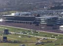 It's day two of the Cheltenham Festival on Wednesday