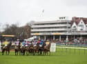 Haydock Park stages the racecourse’s biggest National Hunt card of the year on Saturday afternoon with the highlight being the Betfair Chase.