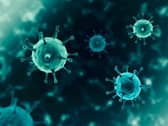 Coronavirus