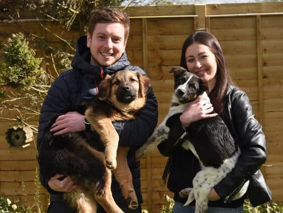 Joe Fielding and fiancee Shelby I’Anson with pet dogs Duke and Dexter