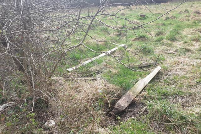 Fences and bushes damaged by vandals