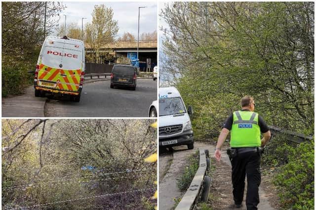 Police launch investigation after human remains are discovered in ...