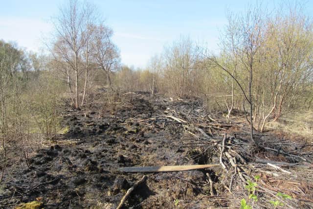 The blaze destroyed around 500 sq metres of rare peat land habitat (Photo by Lancashire Wildlife Trust)