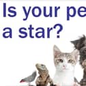 Enter our Top Pet competition and you could win a £50 Pets at Home voucher